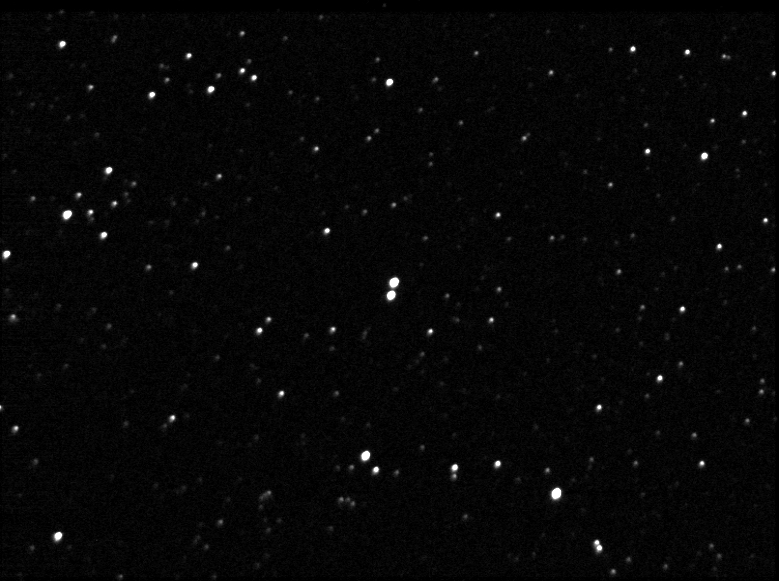 bal2906