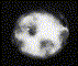 m97